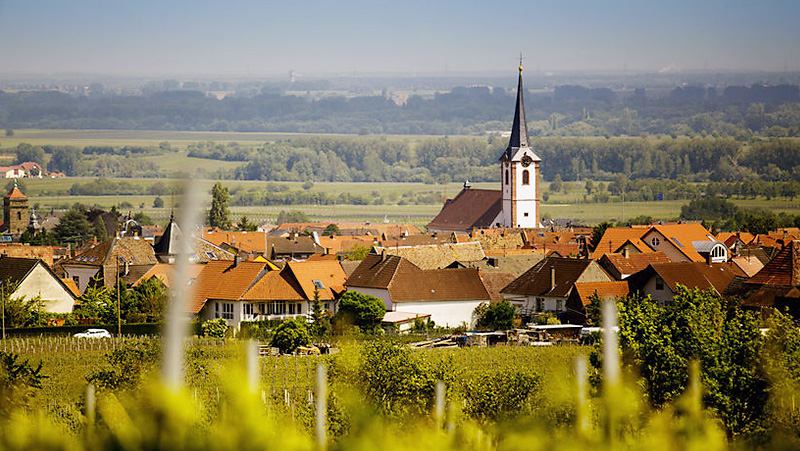 Region Pfalz